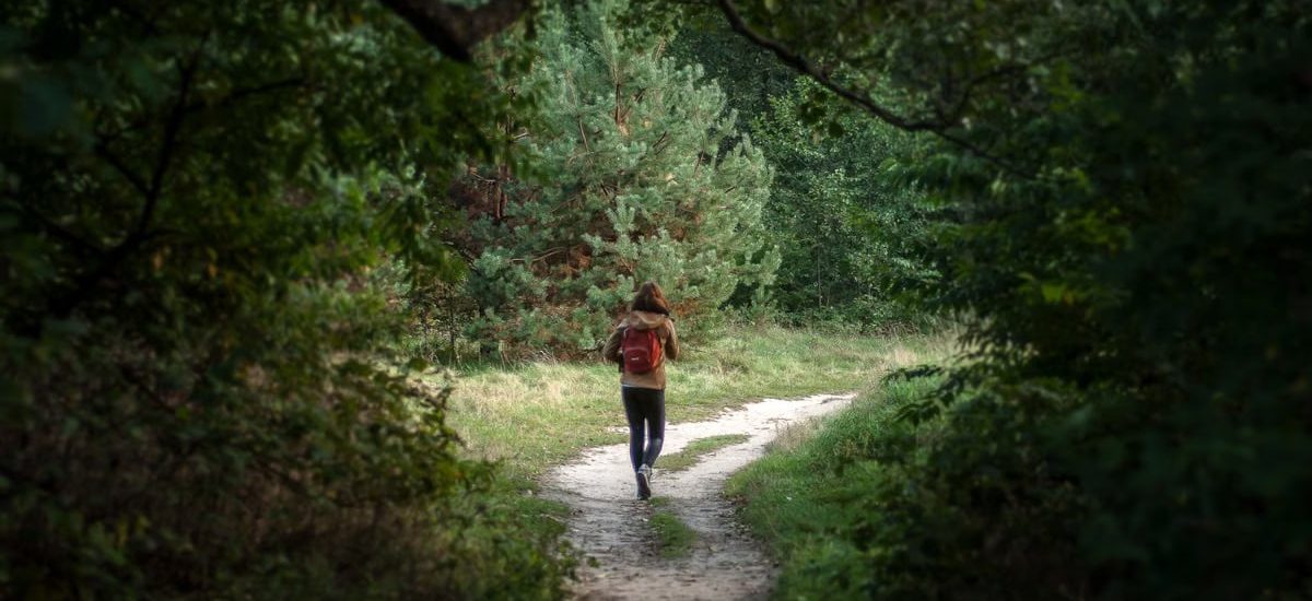 Anonymous distant backpacker with rucksack strolling on trail in woods with lush green trees during trekking in nature on summer day